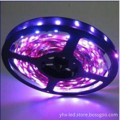 SMD 5050 China neon 30 PCs LED /m